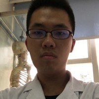 张贤中