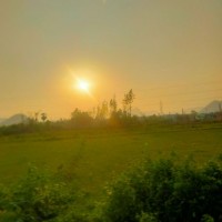 yalamanchili danteswararao