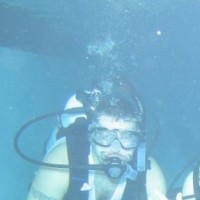 Allen Berner