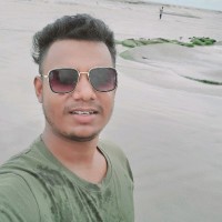 Md Zulfikar Hossain
