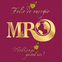 SC M&R SRL IASI