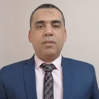 Amr Ali