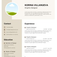 Cv Professional