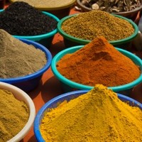 Kelly Qi
