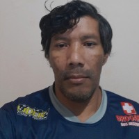 Vilson Araujo