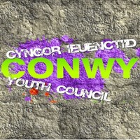 Youth Participation Conwy-Youth-Council