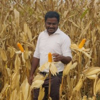 Jagadeesh Thachinamoorthi