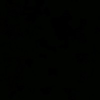 Amy Colucci