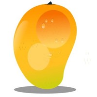 Mango Consultants