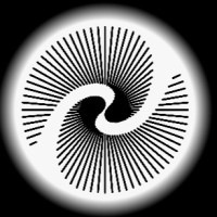 Wyse International