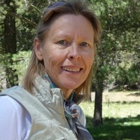 Alison Sharp
