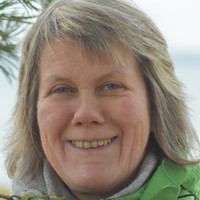 Anne-Heidi Bergfall Hope