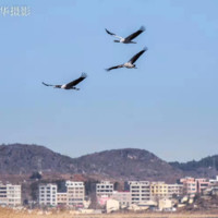 史立强