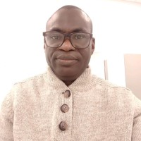 Olufemi Adebayo Johnson, Ph.D., Fciht, Fhea.