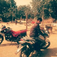 Love Is The Life