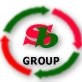 System Brokers Srl