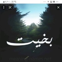 Bakheet Alsenani