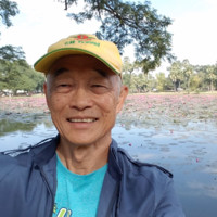 Dan Tom