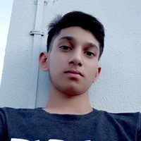 Ro bin