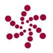 Nanomix Inc