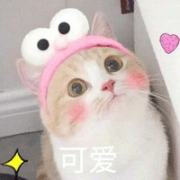 张金云