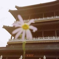 佐长亮