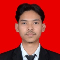 Adi Alson
