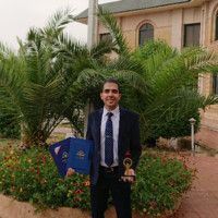 Hossein Ameri