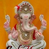 Kushal Shishodia