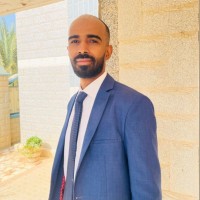 Izzaldeen Mohamed Mergani Abdalkreem