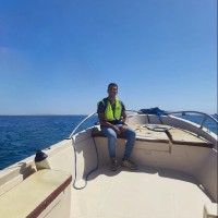 Ahmed Elghareeb