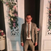 Kareem Adel