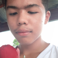 Kurt Alcantara