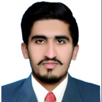 Muhammad Hammad Hussain