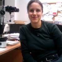 Prof. Dr. Sonja Thaler
