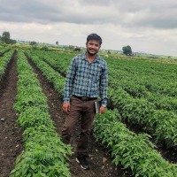Manjunath S