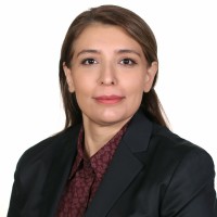 Sepideh Taherkhani