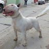 Oscar Eduardo Martinez Sanchez