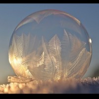 Anke Fleßner, LL.M.