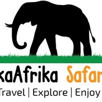 Fika Afrika Safaris
