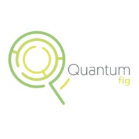Quantum Fig
