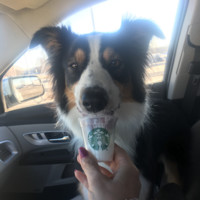 Kristi Puttergill Weldon