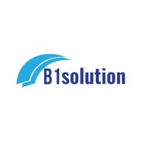 B1 Solution