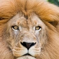 chandrakant sonavane