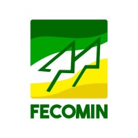 FECOMIN MT