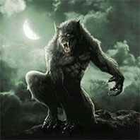 King Shadow