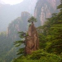 周良海