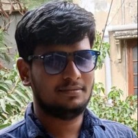 Ramana N