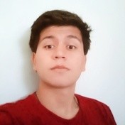 Frank Brayn Alegre Sifuentes