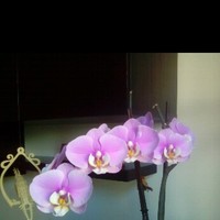 Iñaki Sagredo santamaria